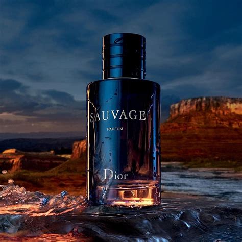 dior sauvage carfume|dior sauvage perfume cheapest price.